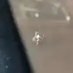 แผลแตกผสม