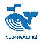 3M Ceramic Absolute – ฟิล์มเซรามิคแท้ มืดนอก สว่างใน กันร้อนสูง